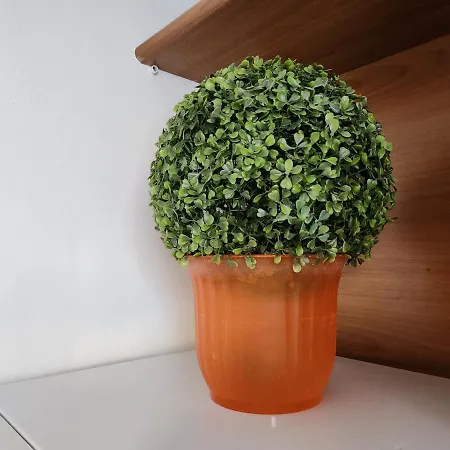Comfort Apartament