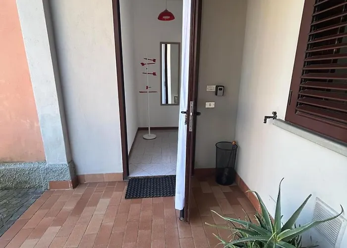 Comfort * ברגמו